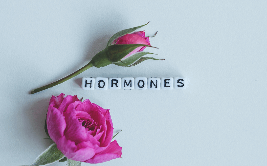 3 Simple Strategies to Understand your Hormones Over 40